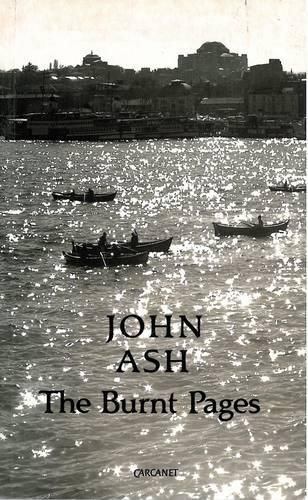 Cover image for The Burnt Pages