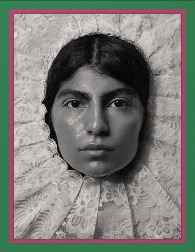 Cover image for Pieter Henket: Birds of Mexico City