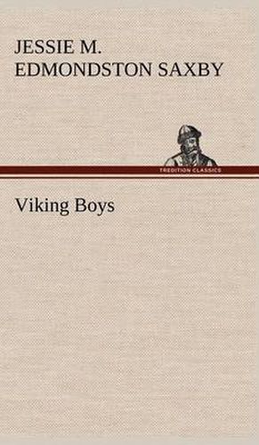 Cover image for Viking Boys