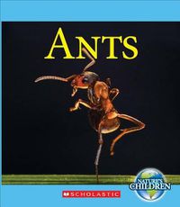 Cover image for Ants (Nature's Children) (Library Edition)