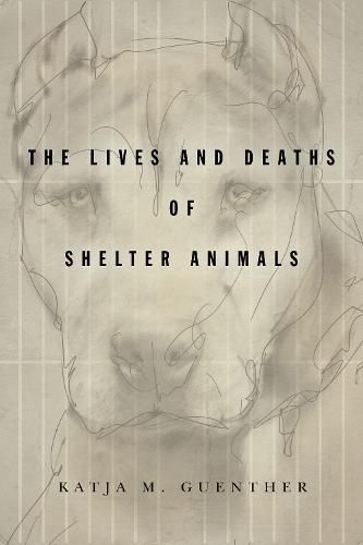 Cover image for The Lives and Deaths of Shelter Animals: The Lives and Deaths of Shelter Animals