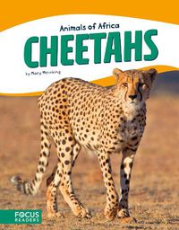 Cover image for Animals of Africa: Cheetahs