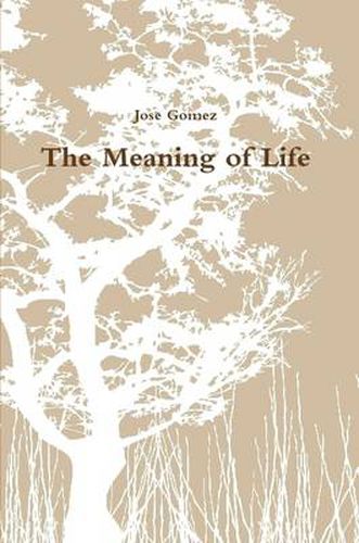 Cover image for The Meaning of Life