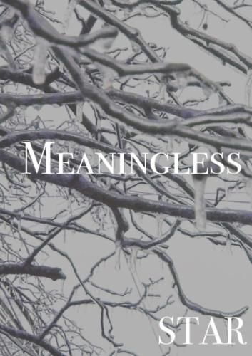 Cover image for Meaningless