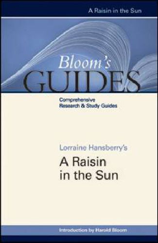 Cover image for A Raisin in the Sun