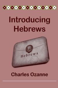 Cover image for Introducing Hebrews