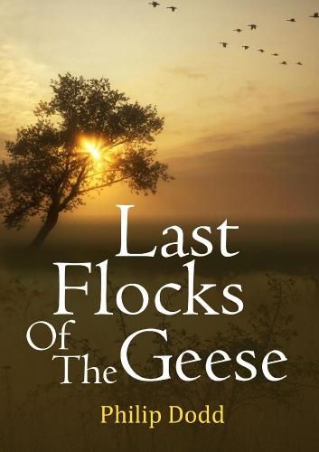 Cover image for Last Flocks of the Geese