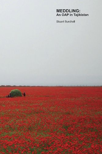 Cover image for MEDDLING: An OAP in Tajikistan