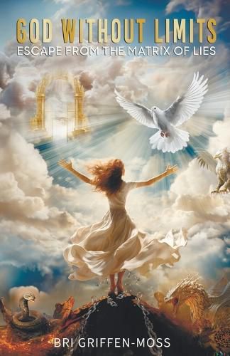 Cover image for God Without Limits