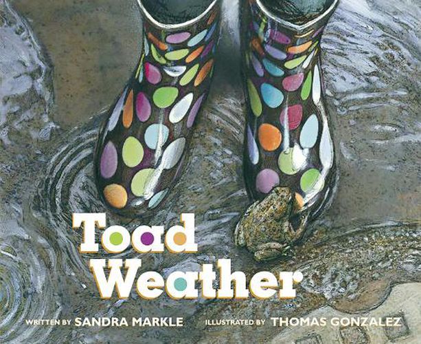 Cover image for Toad Weather