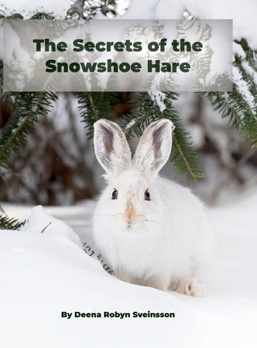 Cover image for The Secrets of the Snowshoe Hare
