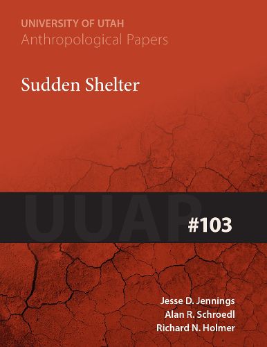 Cover image for Sudden Shelter