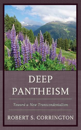 Cover image for Deep Pantheism: Toward a New Transcendentalism