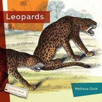 Cover image for Leopards