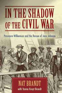 Cover image for In the Shadow of the Civil War: Passmore Williamson and the Rescue of Jane Johnson