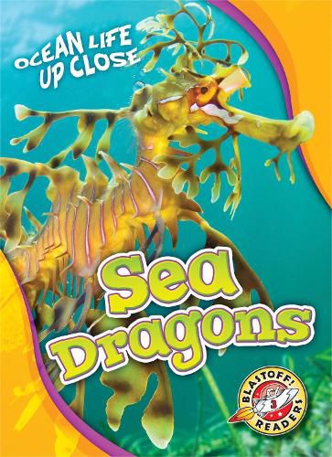 Cover image for Sea Dragons