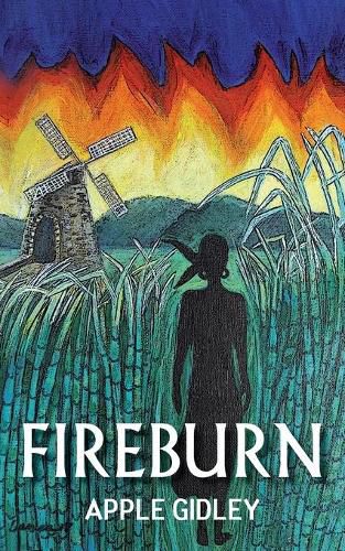 Cover image for Fireburn