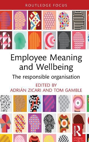 Cover image for Employee Meaning and Wellbeing