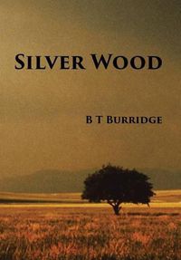 Cover image for Silver Wood