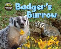 Cover image for Badger's Burrow