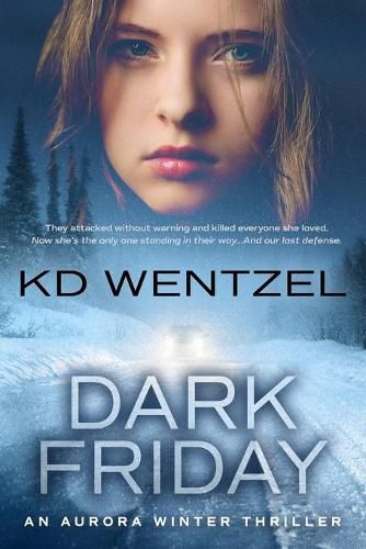 Cover image for Dark Friday: An Aurora Winter Thriller