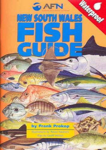 New South Wales Fish Guide