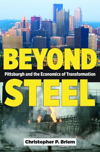 Cover image for Beyond Steel