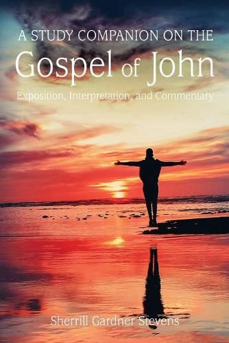 Cover image for A Study Companion on the Gospel of John: 978-1-63528-116-3