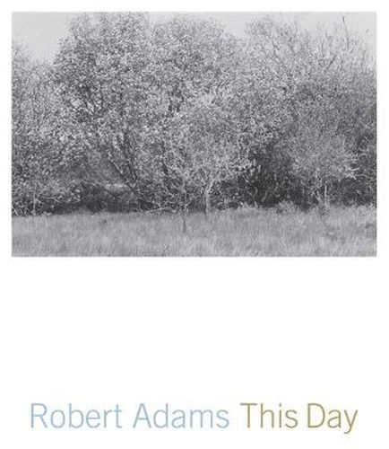 Cover image for This Day: Photographs from Twenty-Five Years, The Northwest Coast
