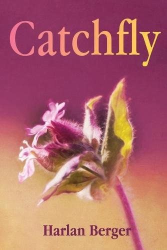 Cover image for Catchfly