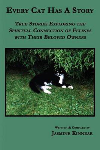 Cover image for Every Cat Has A Story: True Stories Exploring the Spiritual Connection of Felines with Their Beloved Owners