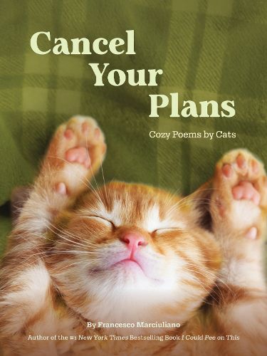 Cover image for Cancel Your Plans
