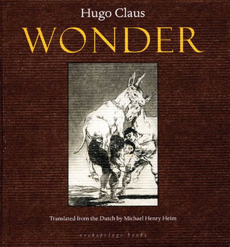 Cover image for Wonder