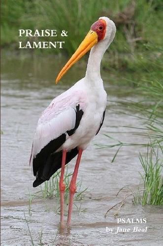 PRAISE & LAMENT: Psalms for the God of Birds