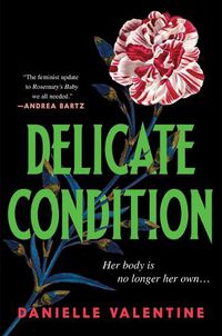 Cover image for Delicate Condition