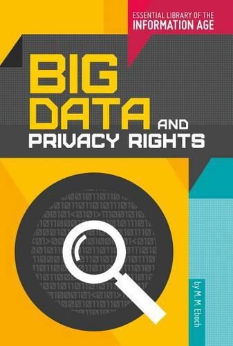 Big Data and Privacy Rights