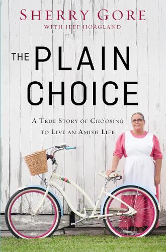 Cover image for The Plain Choice: A True Story of Choosing to Live an Amish Life