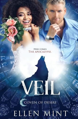 Cover image for Veil