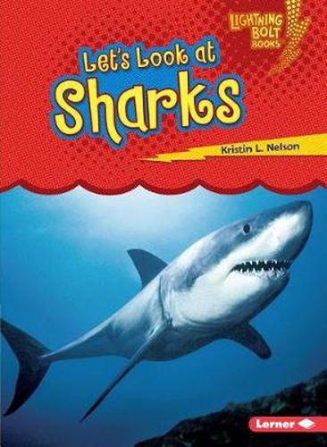 Cover image for Lets Look at Sharks