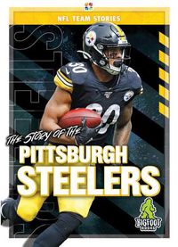Cover image for The Story of the Pittsburgh Steelers