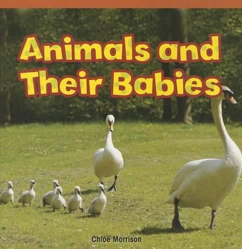 Cover image for Animals and Their Babies