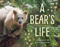 Cover image for A Bear's Life