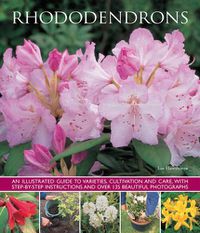 Cover image for Rhododendrons