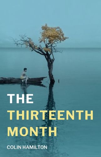 Cover image for The Thirteenth Month