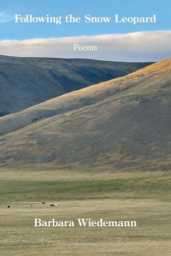 Cover image for Following the Snow Leopard