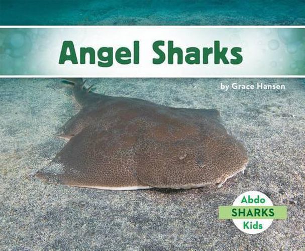 Cover image for Angel Sharks
