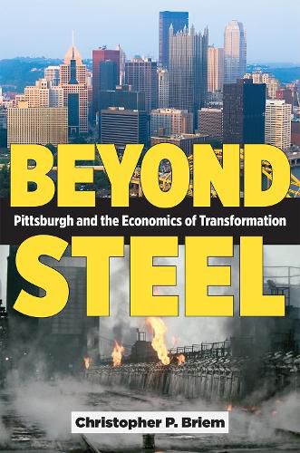 Cover image for Beyond Steel