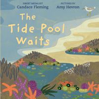 Cover image for The Tide Pool Waits