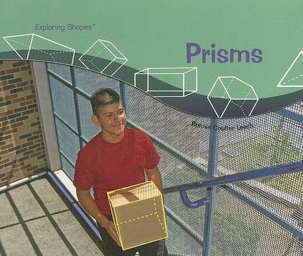 Cover image for Prisms