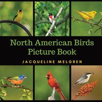 Cover image for North American Birds Picture Book: Dementia Activities for Seniors (30 Premium Pictures on 70lb Paper With Names)